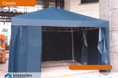 WEB_Carpa-1