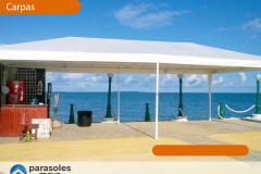WEB_Carpa-2
