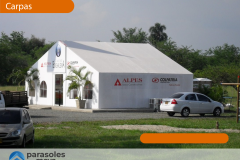 WEB_Carpa-4