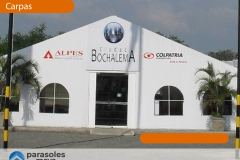 WEB_Carpa-5
