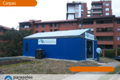 WEB_Carpa-6
